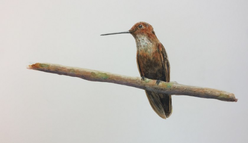 bronzy inca 30:40.jpg