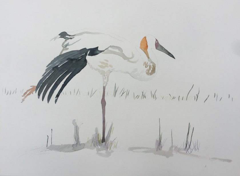 FullSizeRender 6.jpg